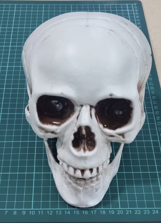Skull Lg